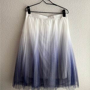 Ombré Pleated Tulle Skirt